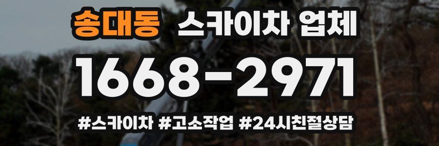 송대동 스카이차 업체