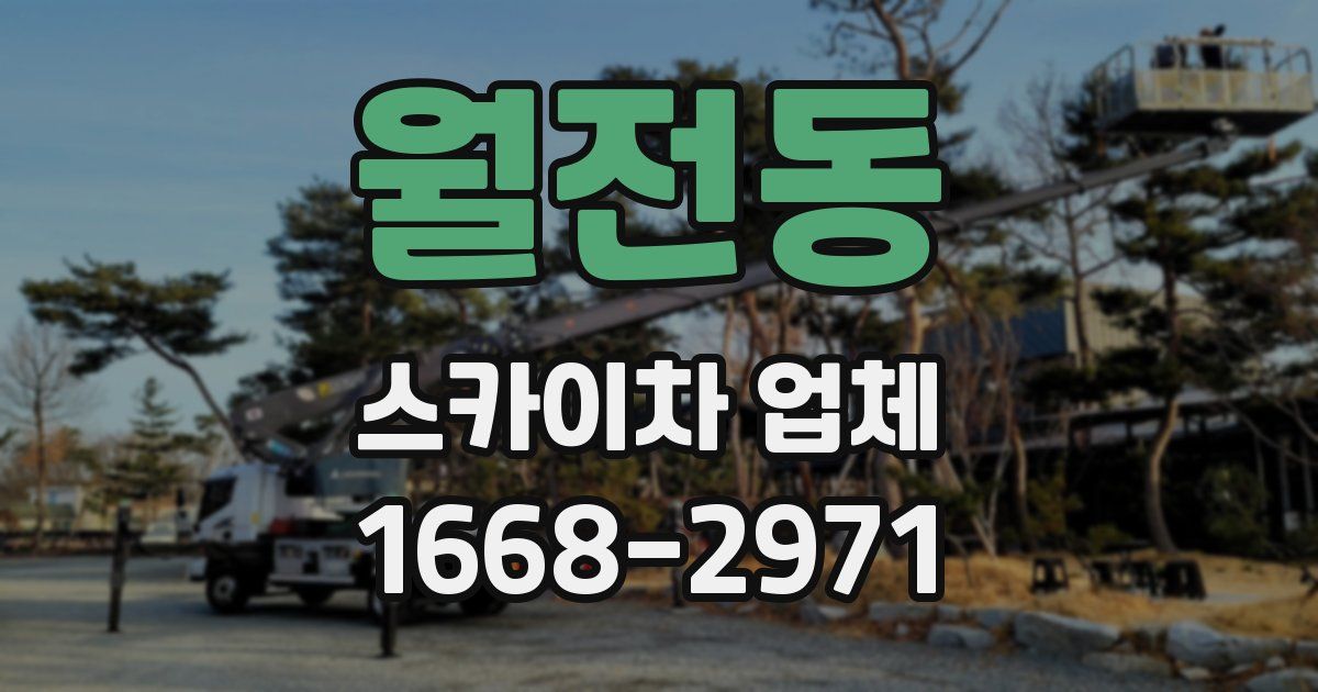 월전동 스카이차 업체