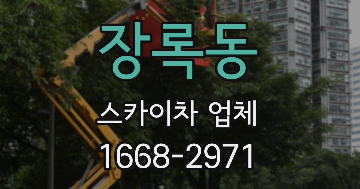 장록동 스카이차 업체