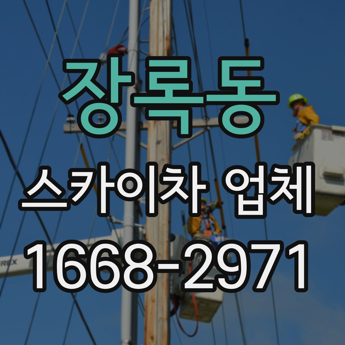 장록동 스카이차 업체