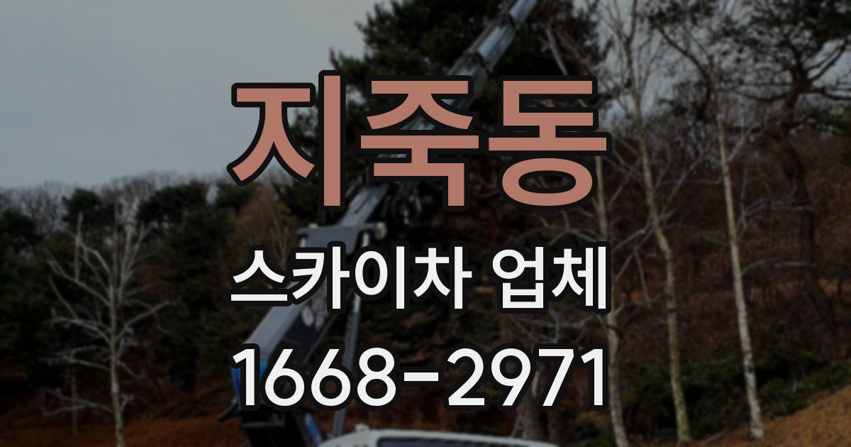 지죽동 스카이차 업체