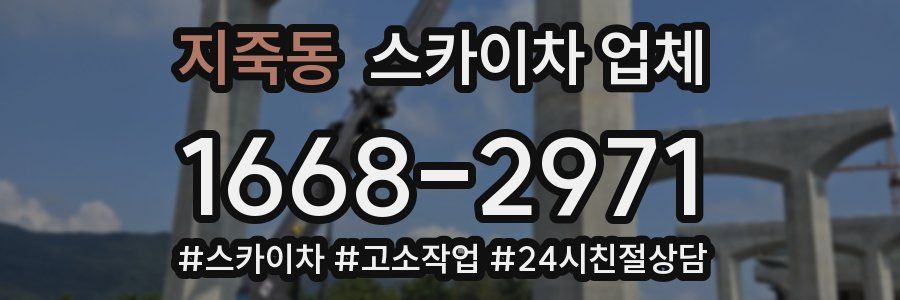 지죽동 스카이차 업체