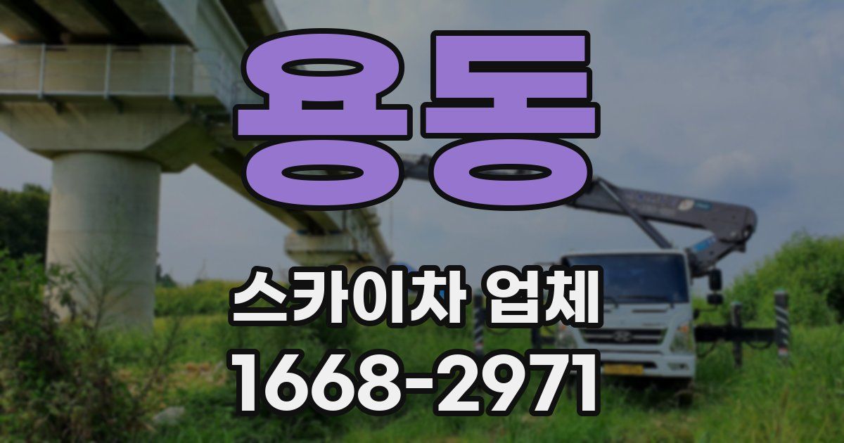 용동 스카이차 업체