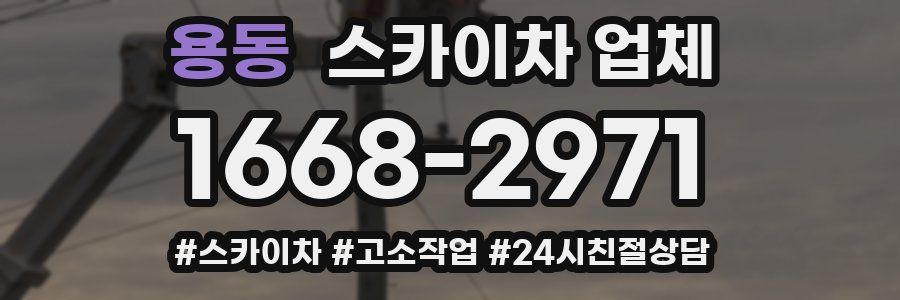 용동 스카이차 업체