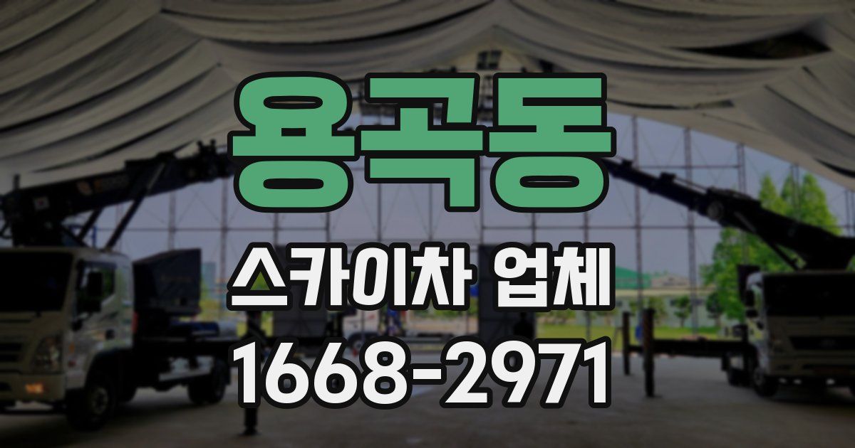 용곡동 스카이차 업체