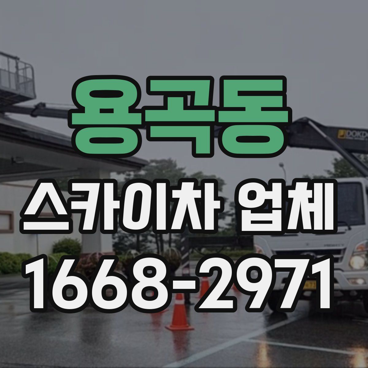 용곡동 스카이차 업체