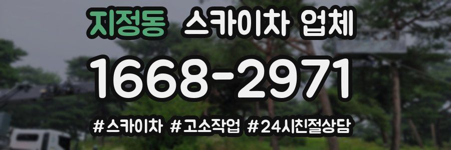 지정동 스카이차 업체