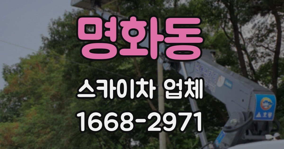 명화동 스카이차 업체