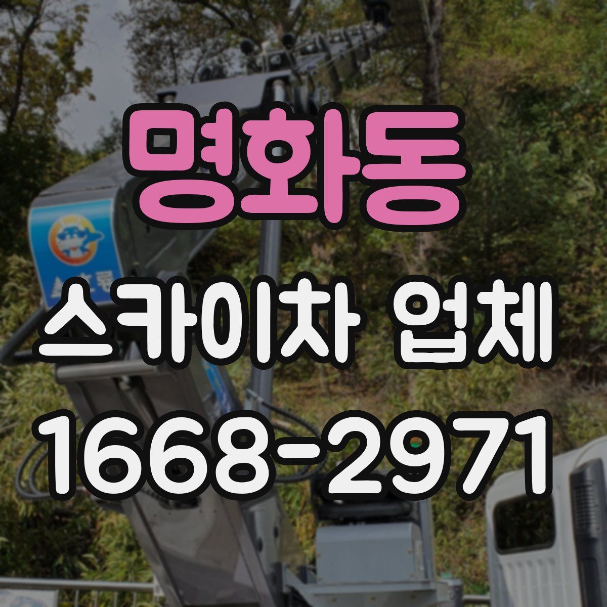 명화동 스카이차 업체