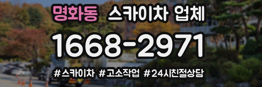 명화동 스카이차 업체