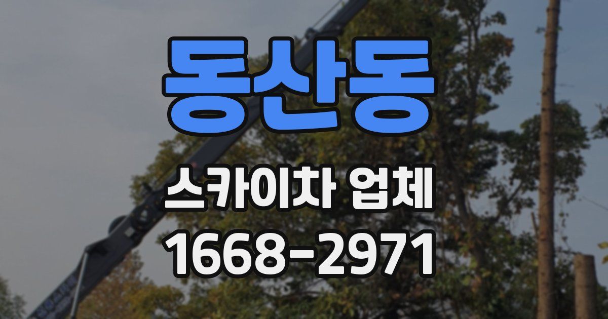 동산동 스카이차 업체