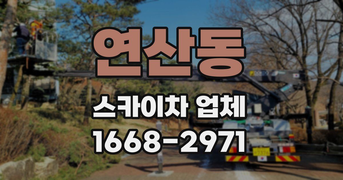 연산동 스카이차 업체