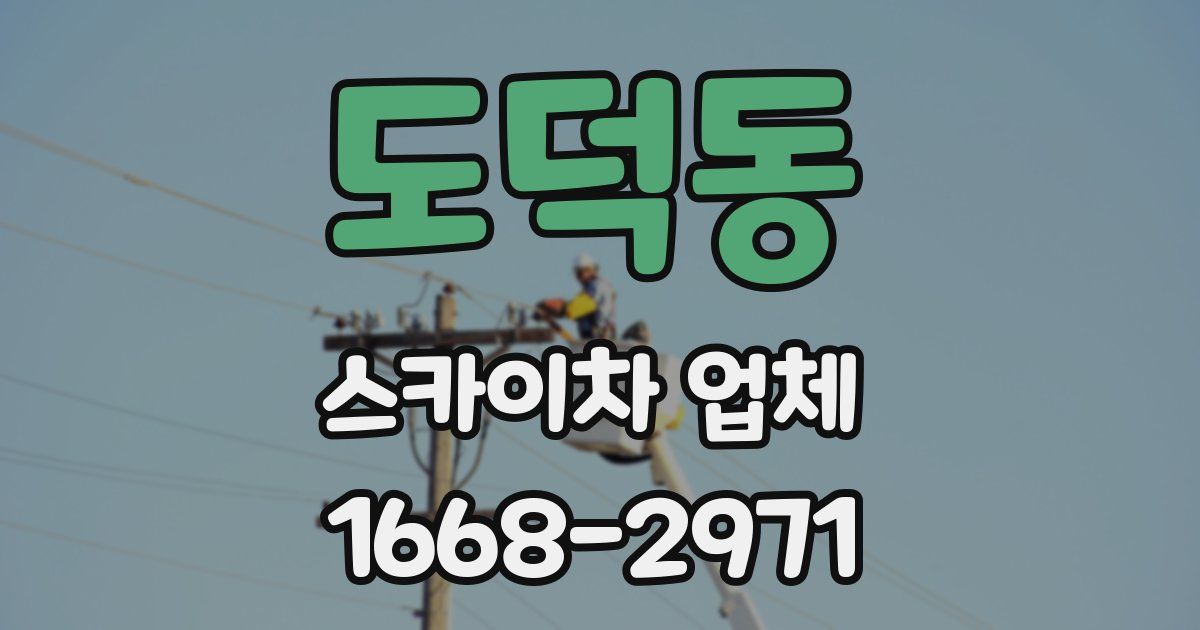 도덕동 스카이차 업체
