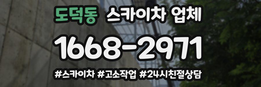 도덕동 스카이차 업체