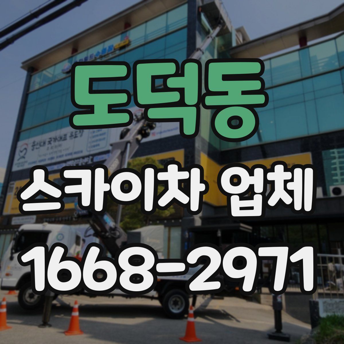 도덕동 스카이차 업체