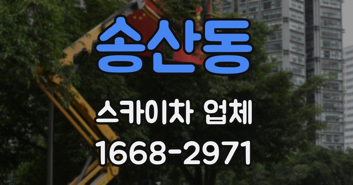 송산동 스카이차 업체