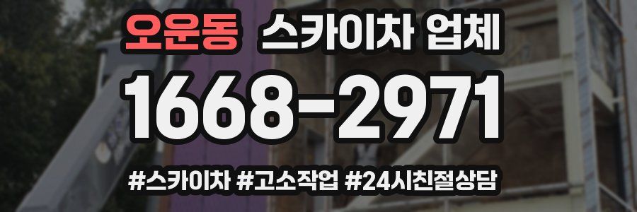 오운동 스카이차 업체
