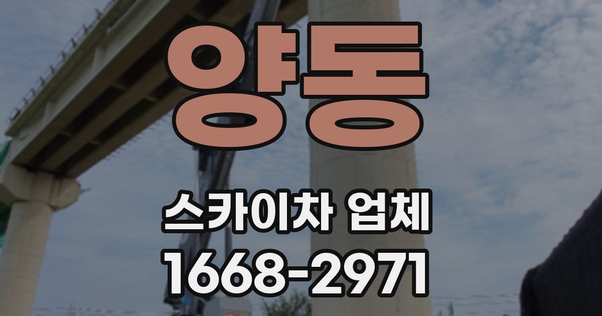 양동 스카이차 업체