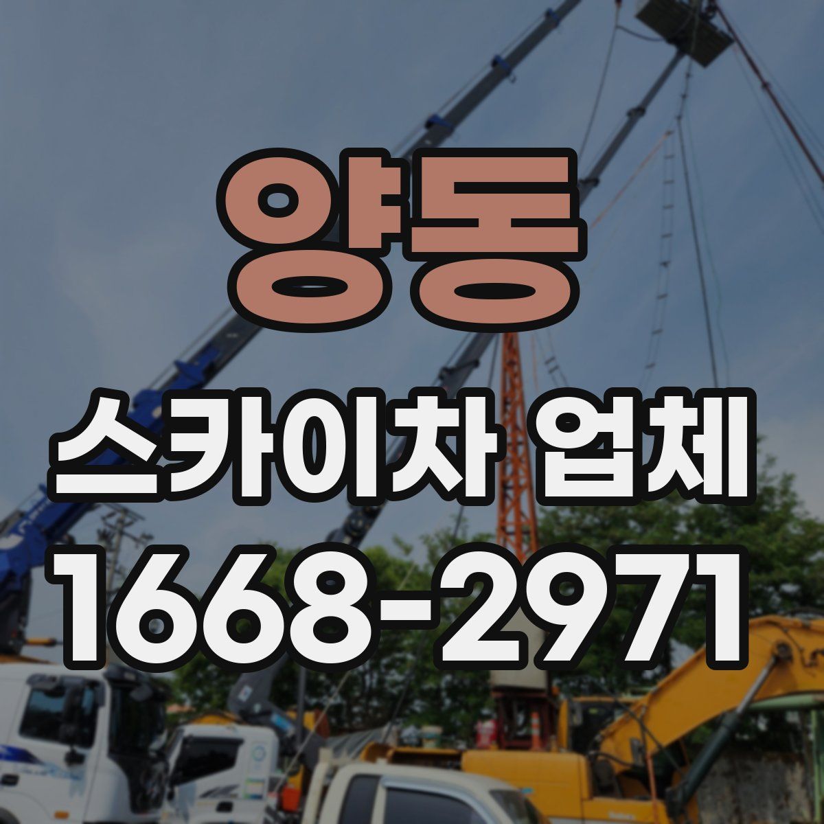 양동 스카이차 업체