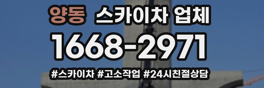 양동 스카이차 업체