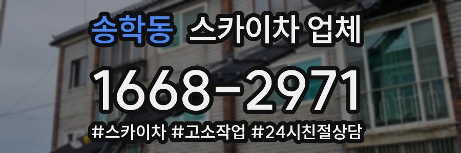 송학동 스카이차 업체