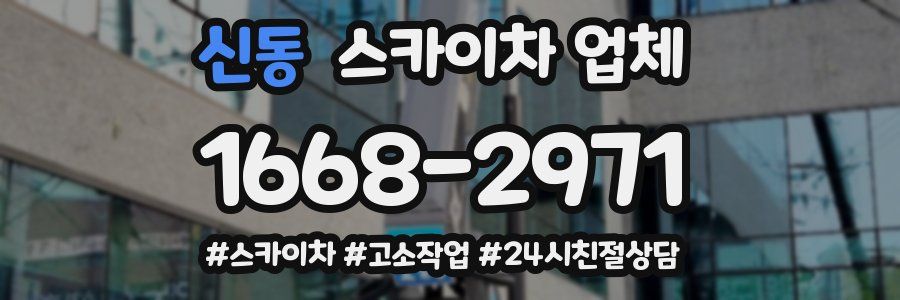신동 스카이차 업체