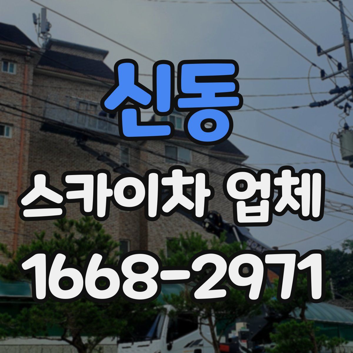 신동 스카이차 업체