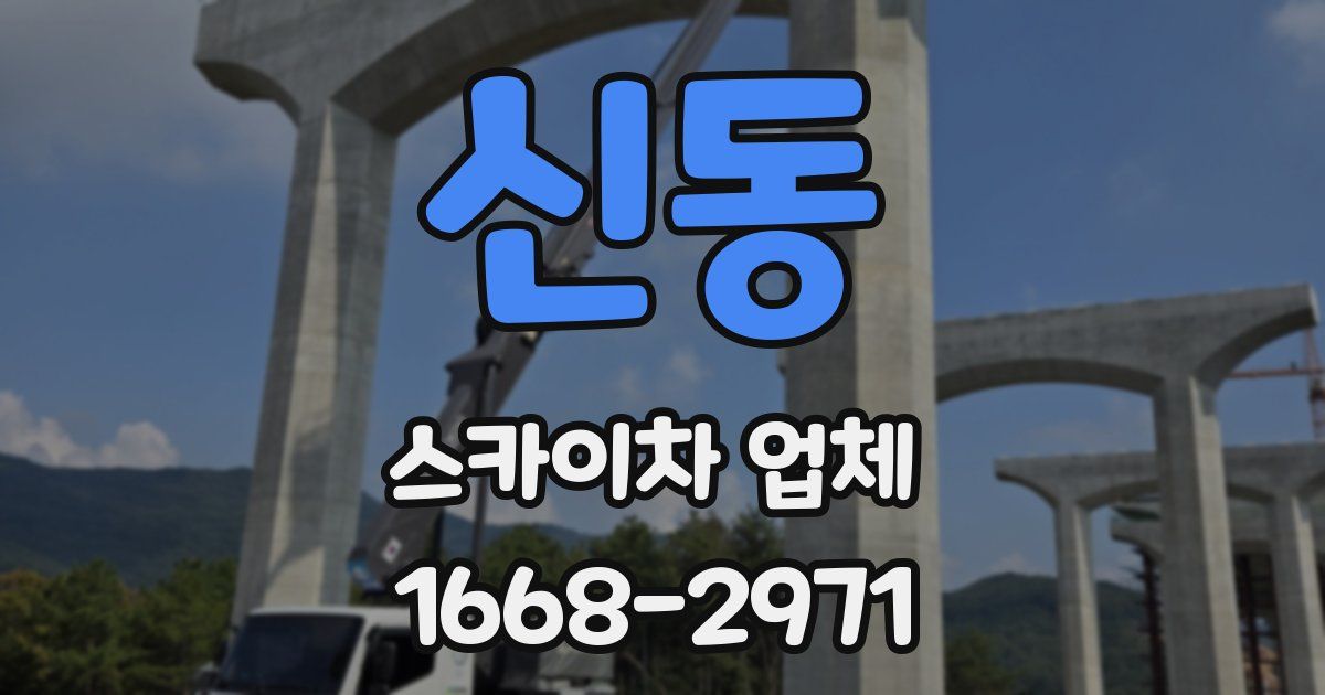 신동 스카이차 업체