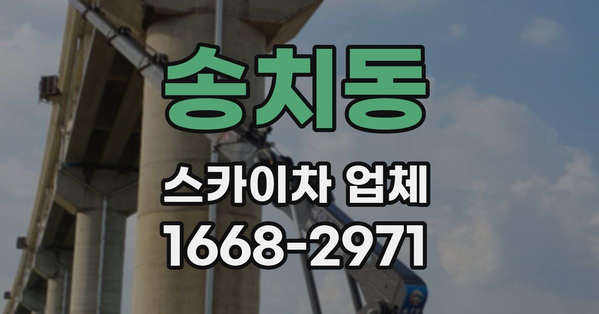 송치동 스카이차 업체