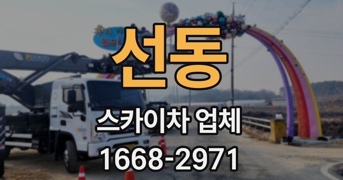 선동 스카이차 업체