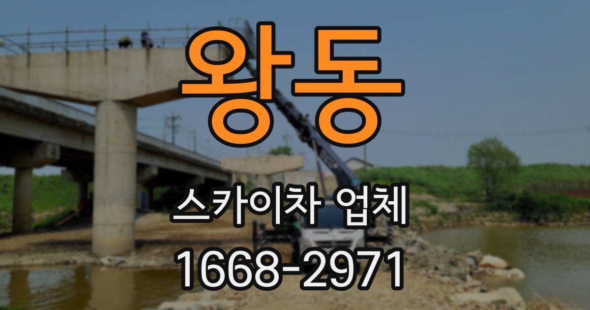 왕동 스카이차 업체