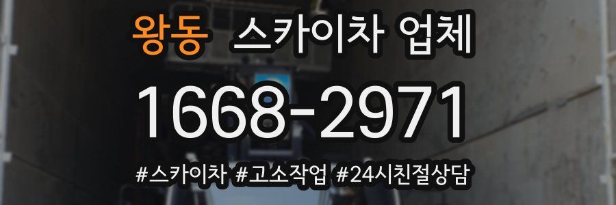왕동 스카이차 업체