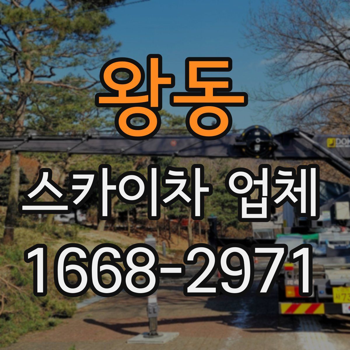 왕동 스카이차 업체