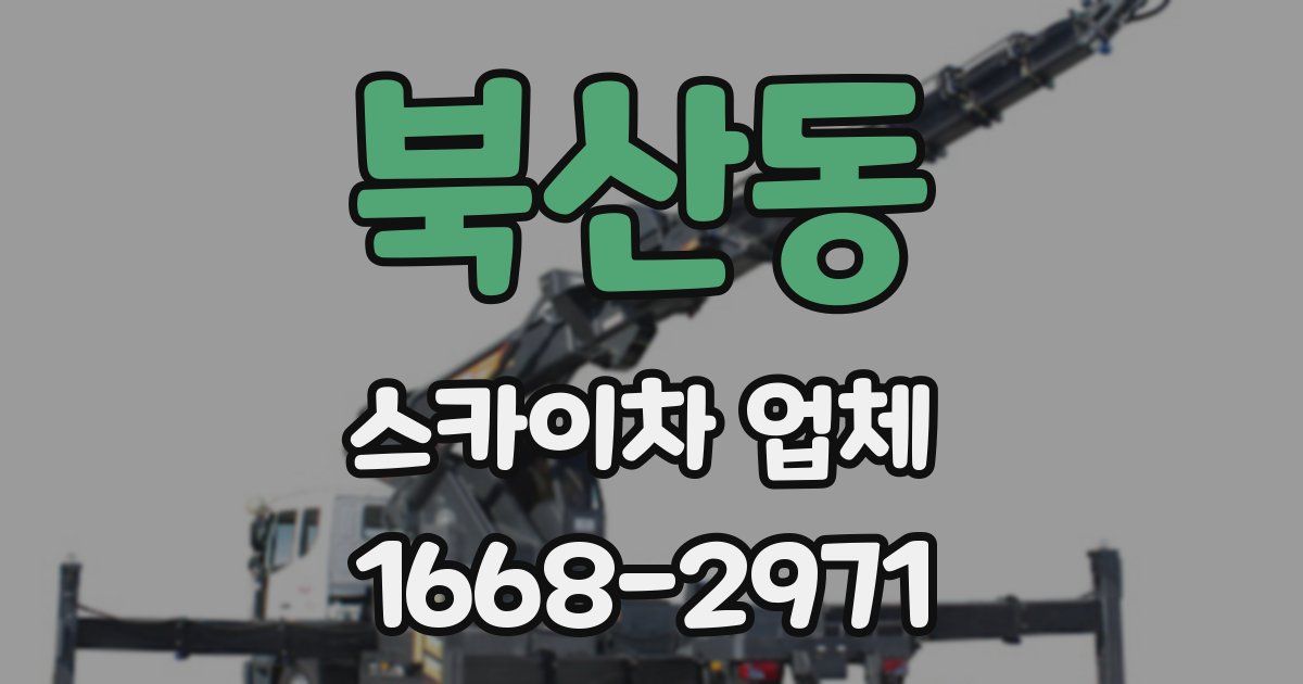 북산동 스카이차 업체