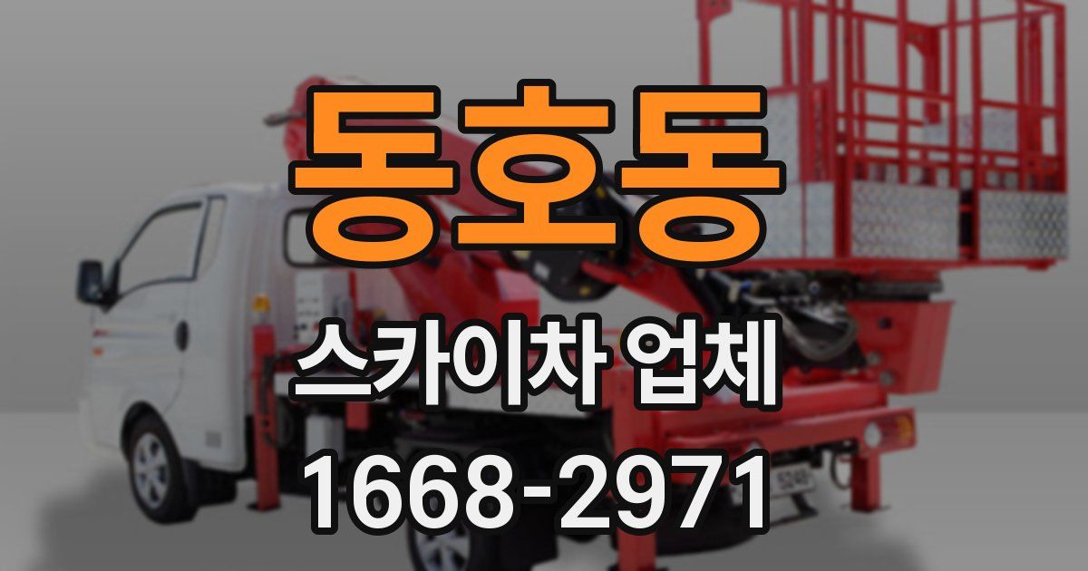 동호동 스카이차 업체