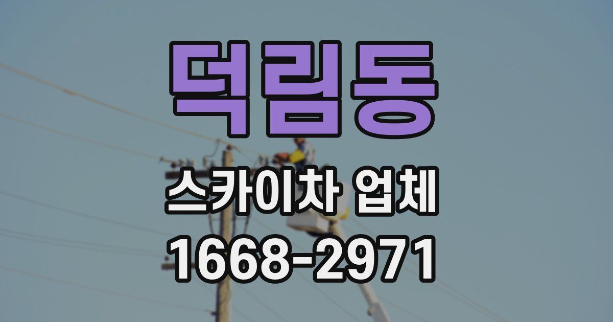 덕림동 스카이차 업체