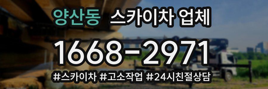 양산동 스카이차 업체