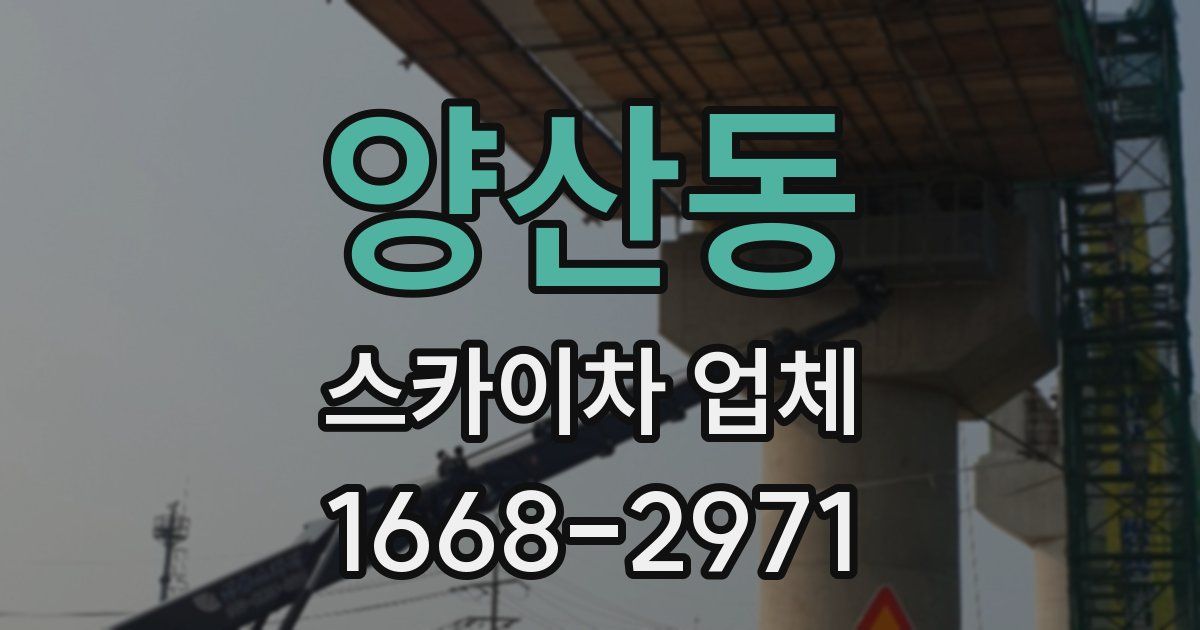 양산동 스카이차 업체