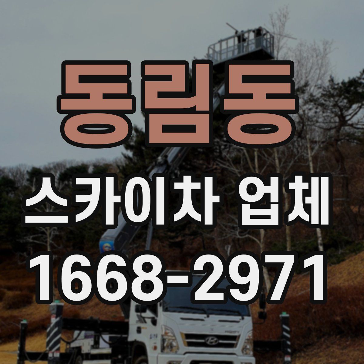 동림동 스카이차 업체