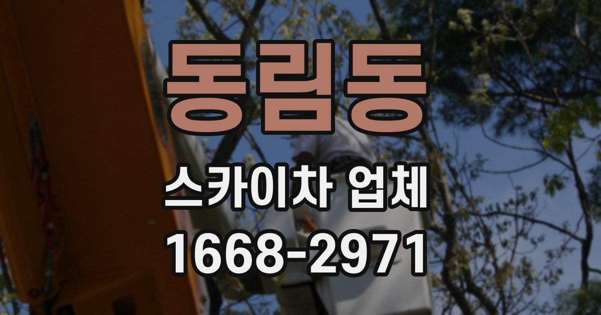 동림동 스카이차 업체