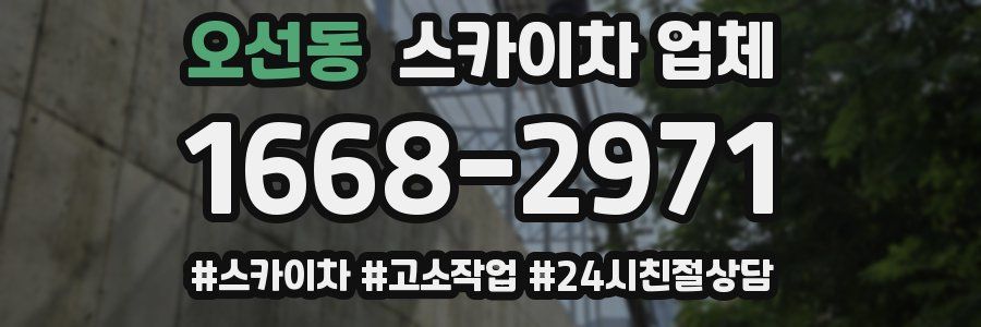 오선동 스카이차 업체