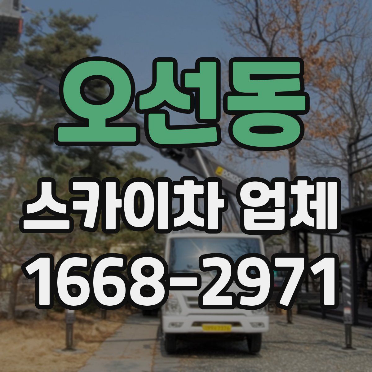 오선동 스카이차 업체