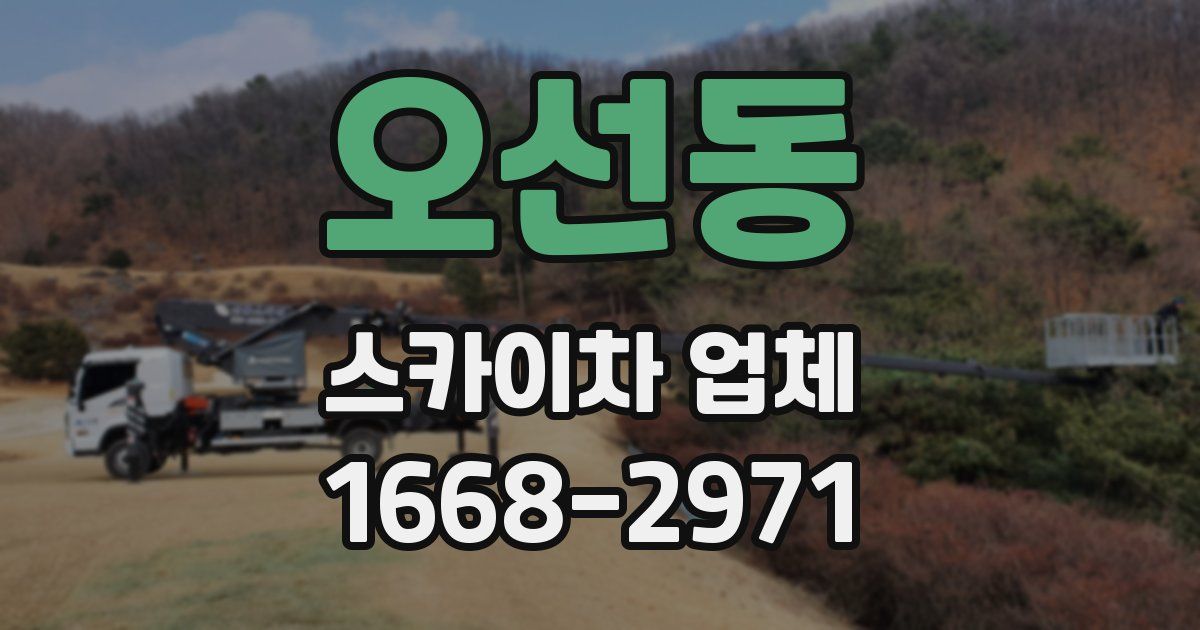 오선동 스카이차 업체