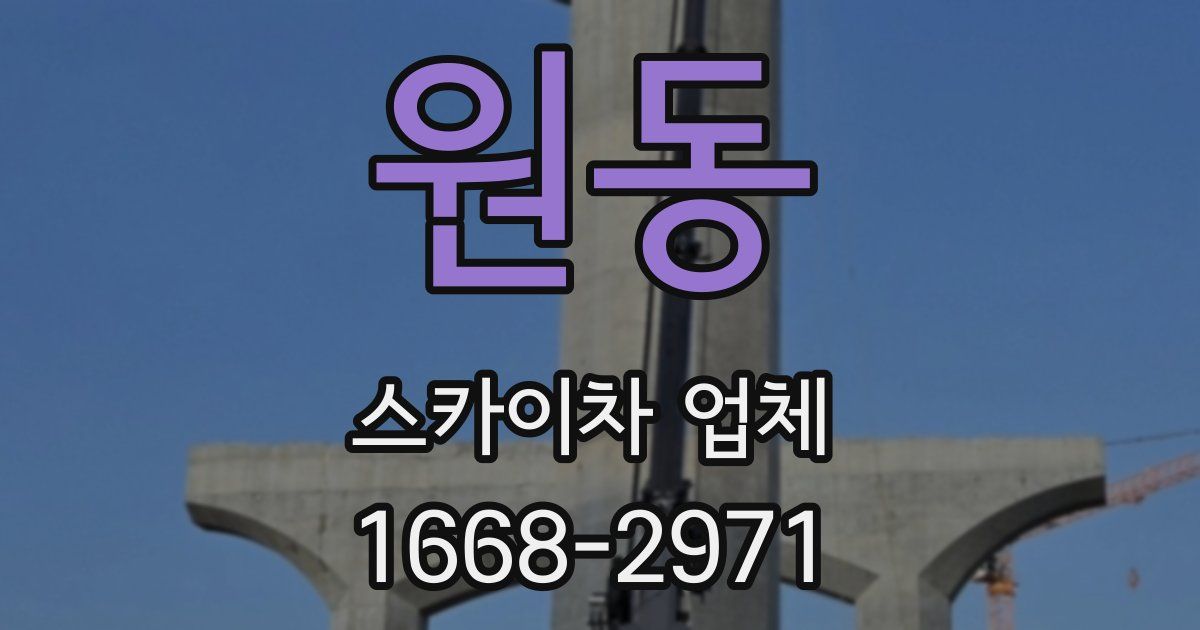 원동 스카이차 업체