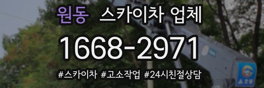 원동 스카이차 업체