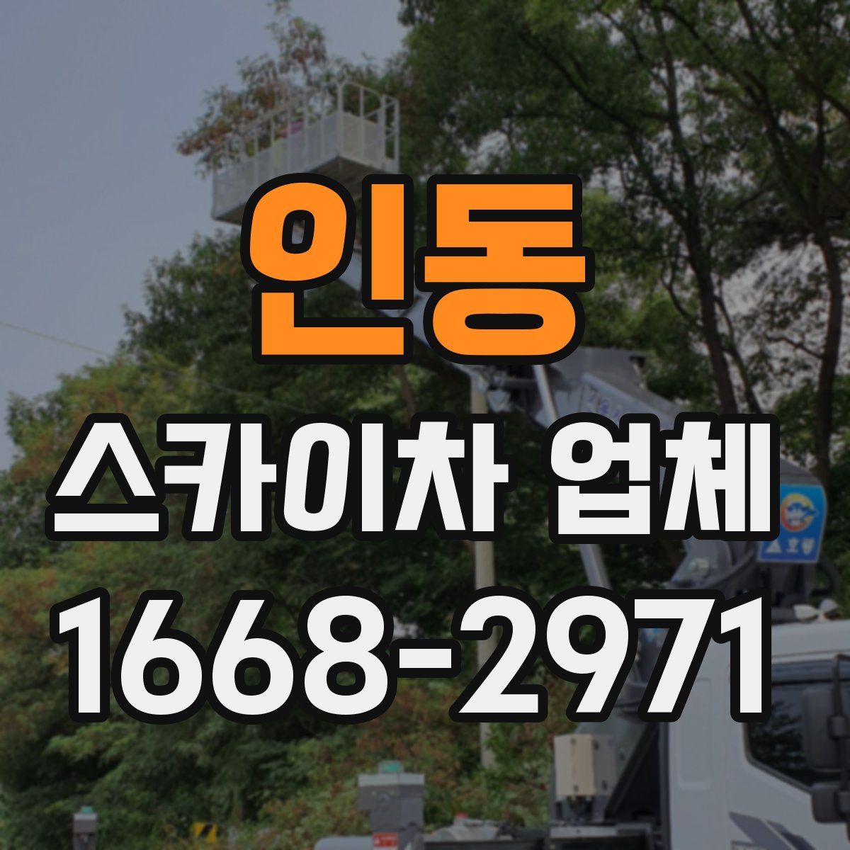 인동 스카이차 업체