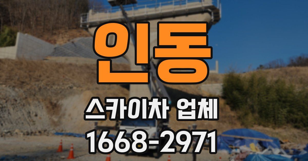 인동 스카이차 업체