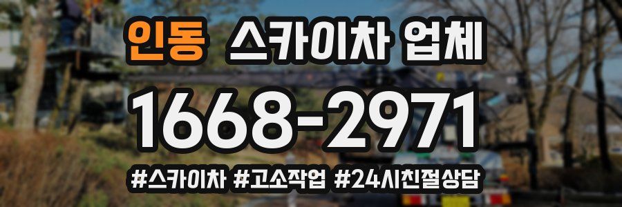 인동 스카이차 업체