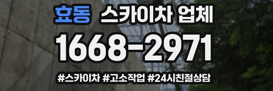 효동 스카이차 업체
