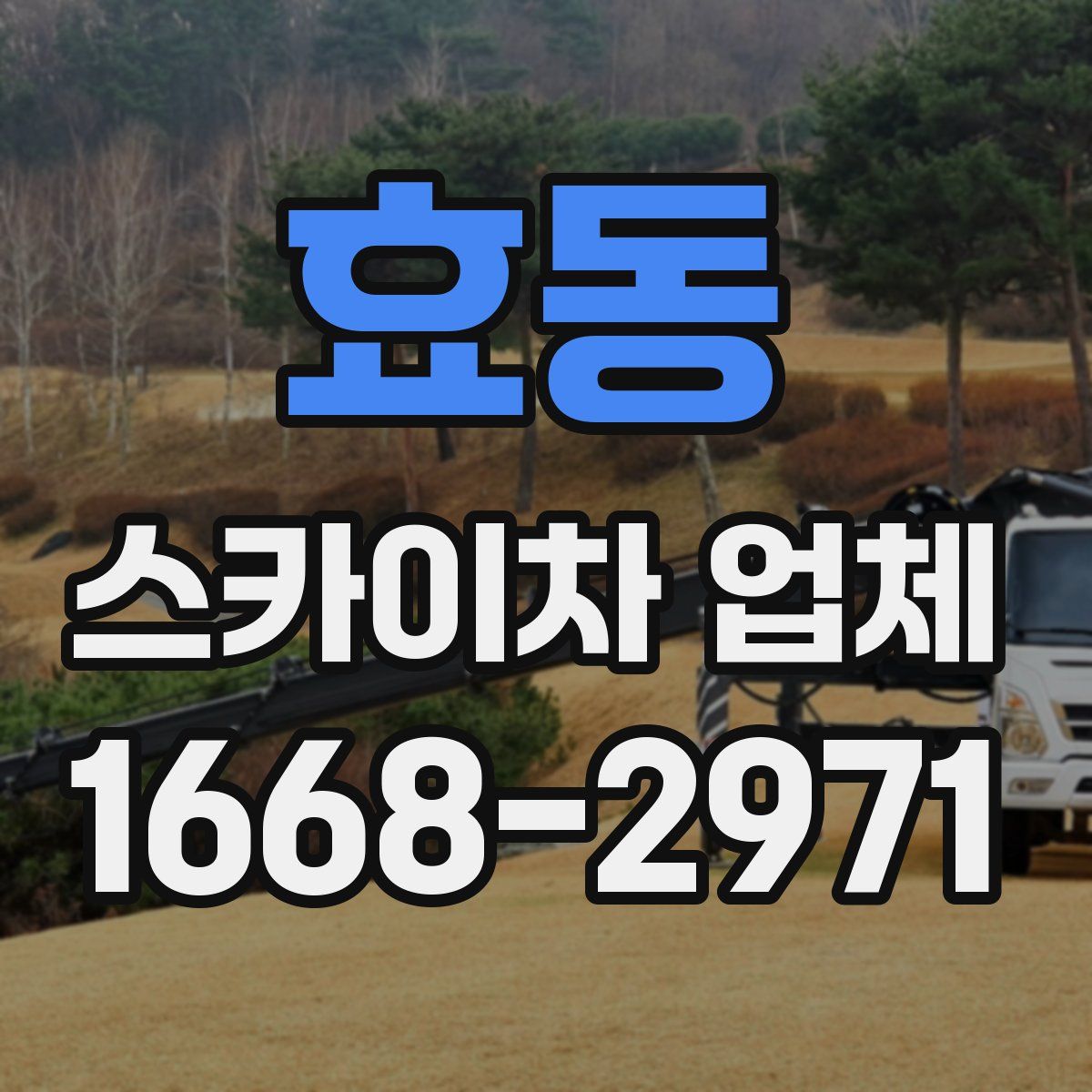 효동 스카이차 업체
